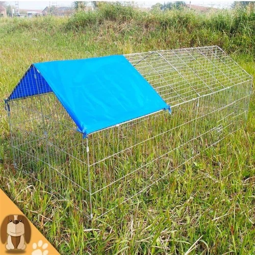 Kandang Ayam Pollitos Murah