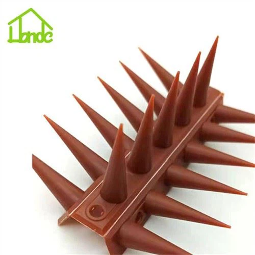 Paku Pencegah Pengusir Kucing