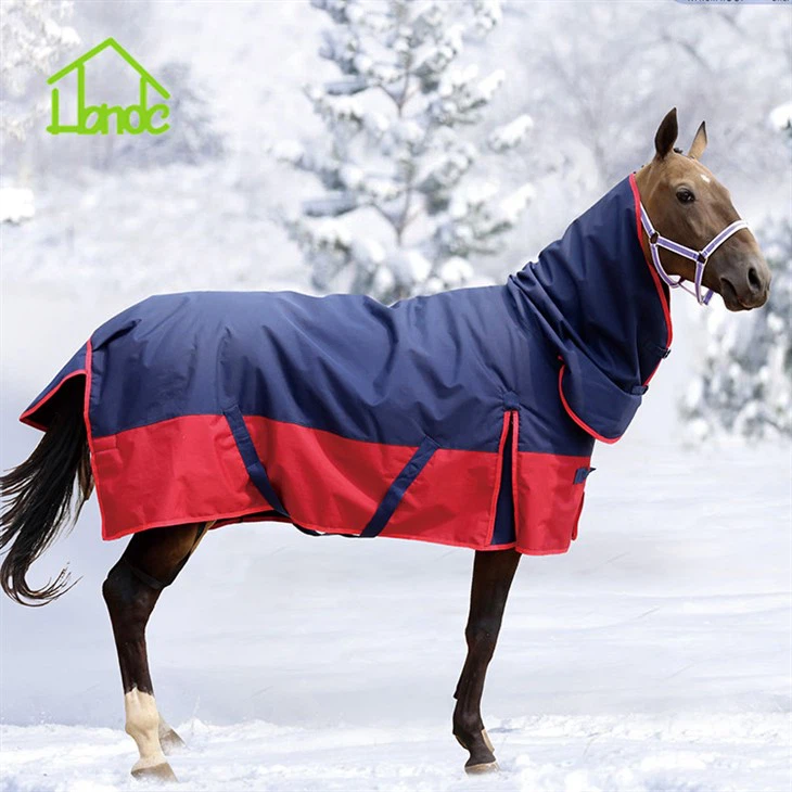 A Horse Coat In A Cold And Windy Winter