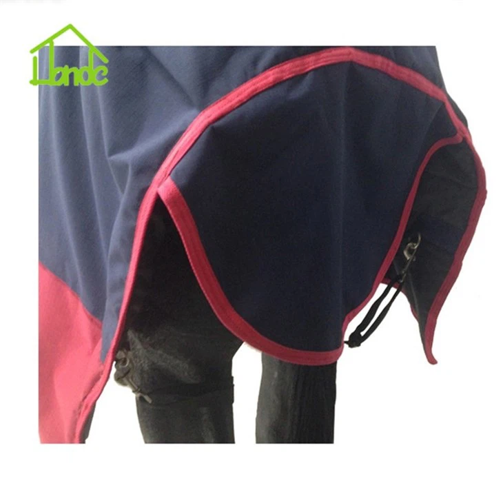 A Horse Coat In A Cold And Windy Winter