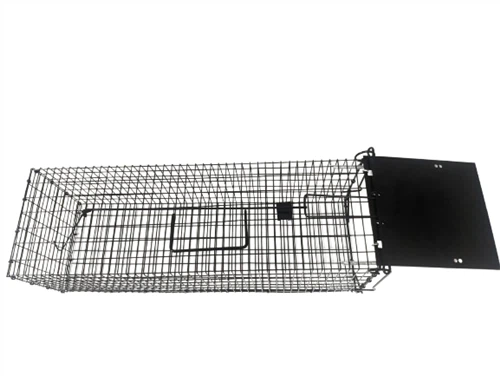 Perangkap Tikus Manusiawi, Perangkap Kandang Tupai dan Tikus Chipmunk